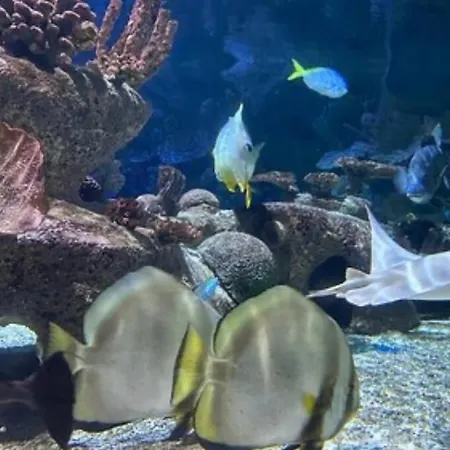 Le Toscane Апартаменты Серри