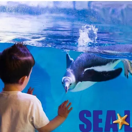 Apartmán Le Toscane Serris